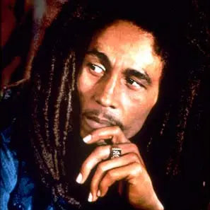 Bob Marley Pop Art n Portrait